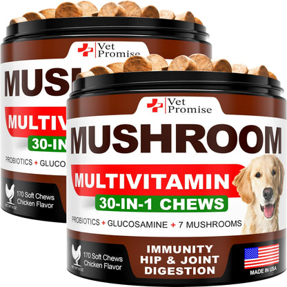 (2 Pack) Mushroom for Dogs 340 Chews Turkey Tail Mushroom Supplement for Dogs Lions Mane Reishi Immunity Support Multivitamin Vitamins Joint Health Energy Gut Skin Made in USA